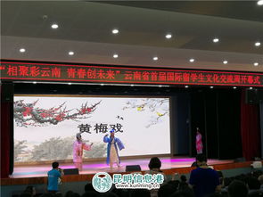 彩云之南搭橋梁 青春友誼譜新章——云南省首屆國(guó)際留學(xué)生文化交流周開(kāi)幕